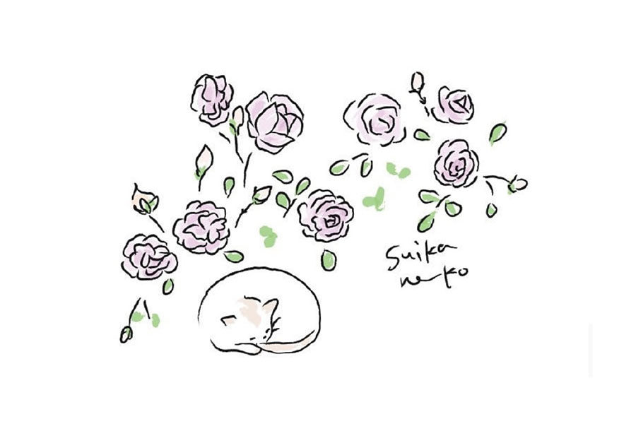 猫咪与花儿简笔画图片