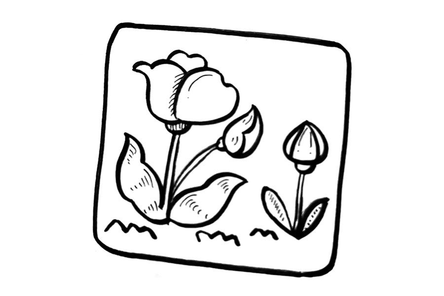 春天花朵简笔画 郁金香的春天