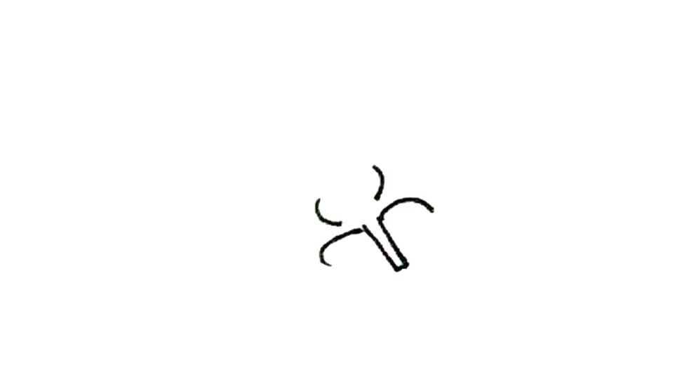 棉花简笔画画法步骤