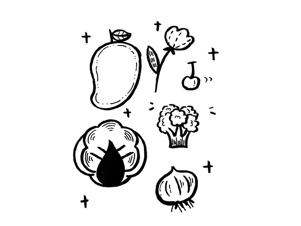 蔬菜水果简笔画图片