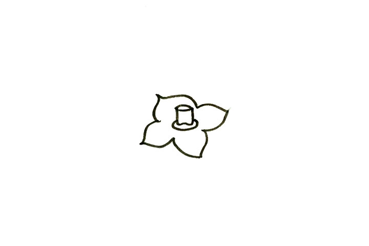 如何画柿子