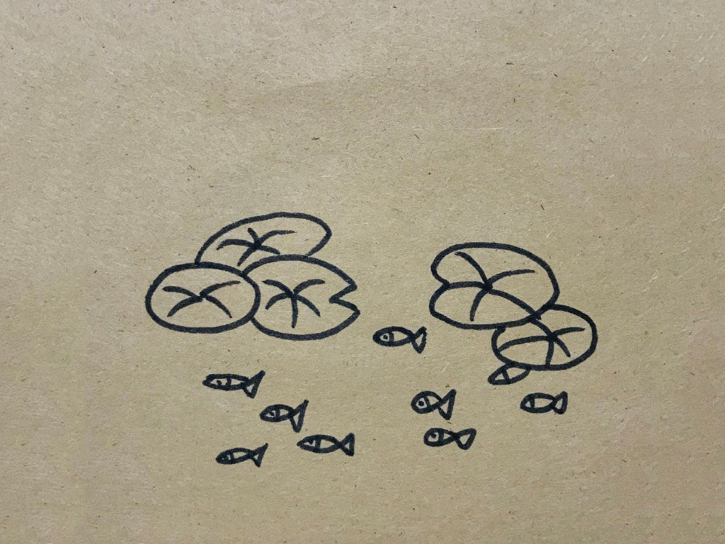 荷叶风景简笔画图片
