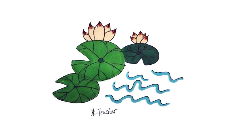 莲花简笔画教程