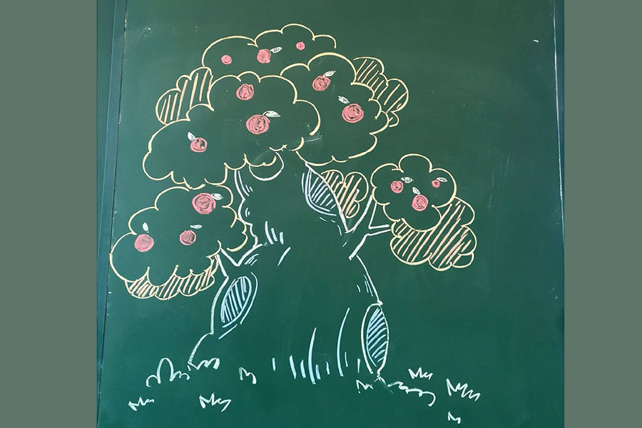一组漂亮的大树粉笔画图片 黑板报绘画素材