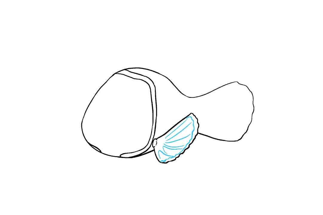 小丑鱼尼的画法