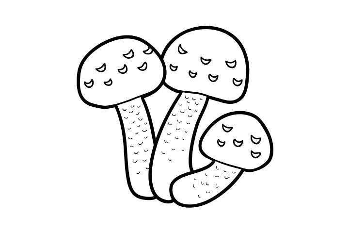 各种野生菌的画法