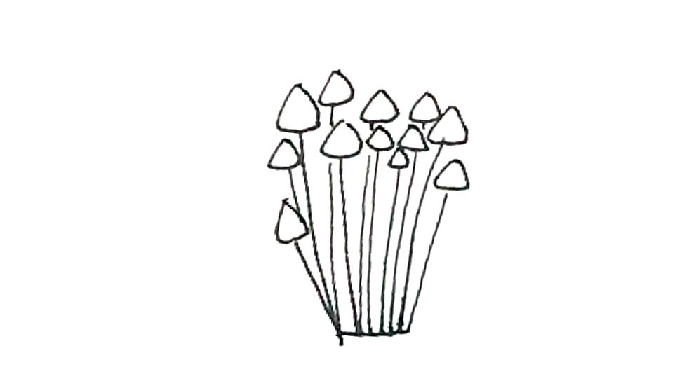 金针菇简笔画怎么画