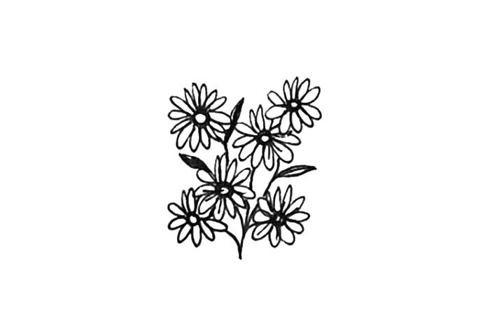 23种漂亮小花简笔画图片