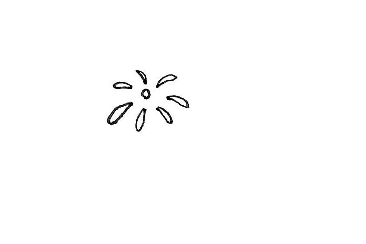 礼花简笔画画法步骤