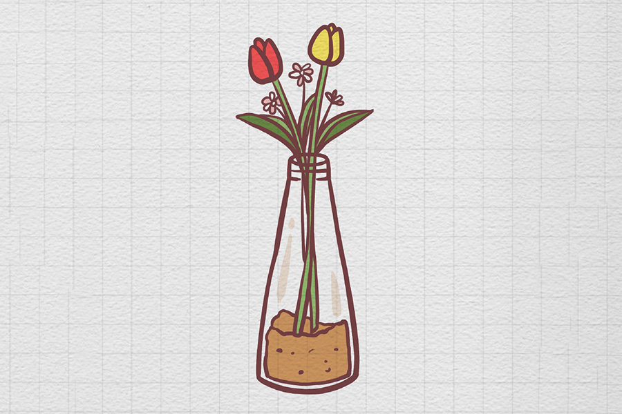 一瓶郁金香花瓶插花简笔画