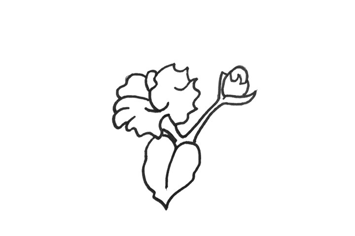 一步一步学画木棉花简笔画