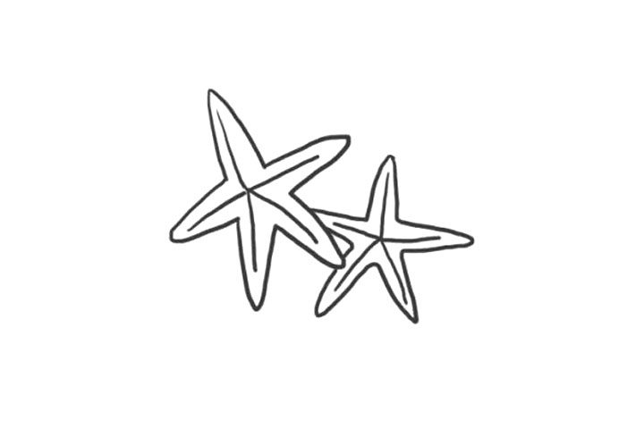 海洋生物海星简笔画画法步骤