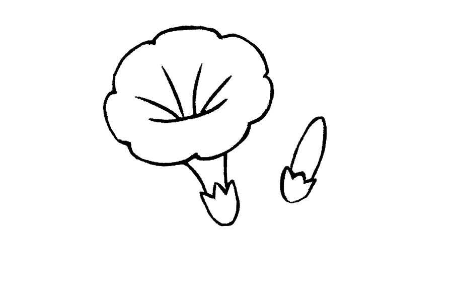 五彩缤纷的牵牛花怎么画