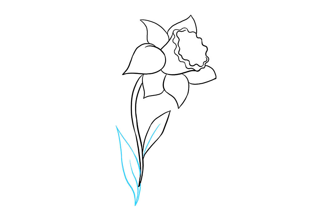 水仙花怎么画