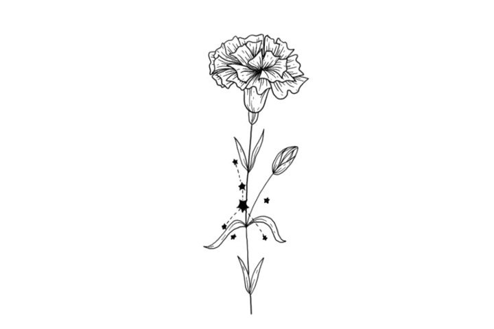 鲜花简笔画之十二星座与鲜花