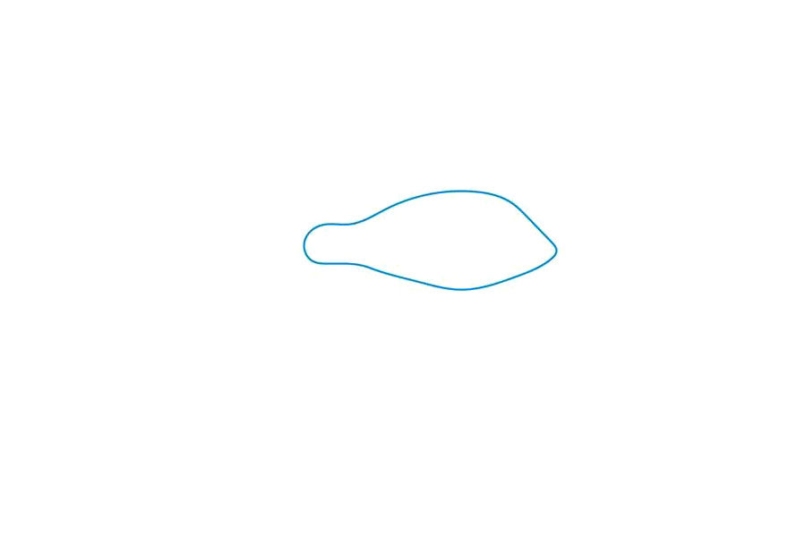 简单漂亮的斗鱼简笔画画法步骤