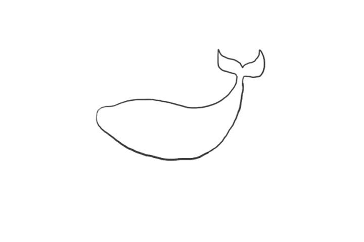 海洋生物鲸鱼简笔画画法步骤