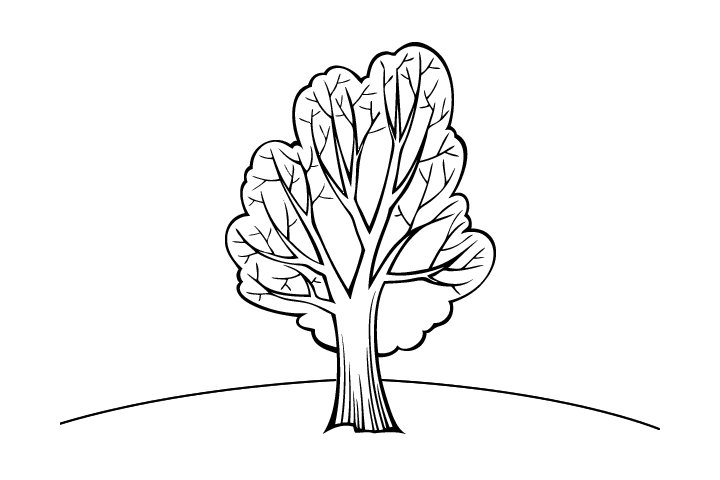 简单好画的树木简笔画