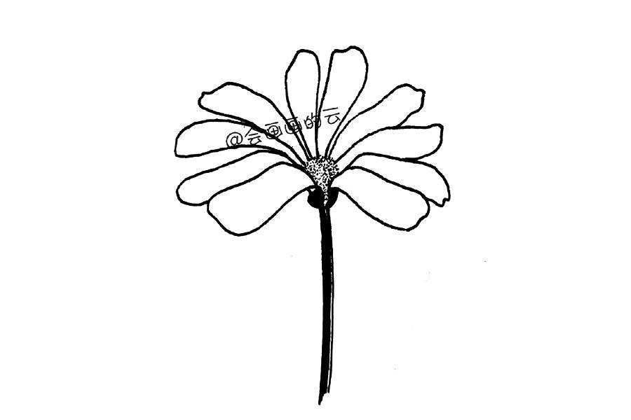 零基础简笔画 一朵漂亮的小花花