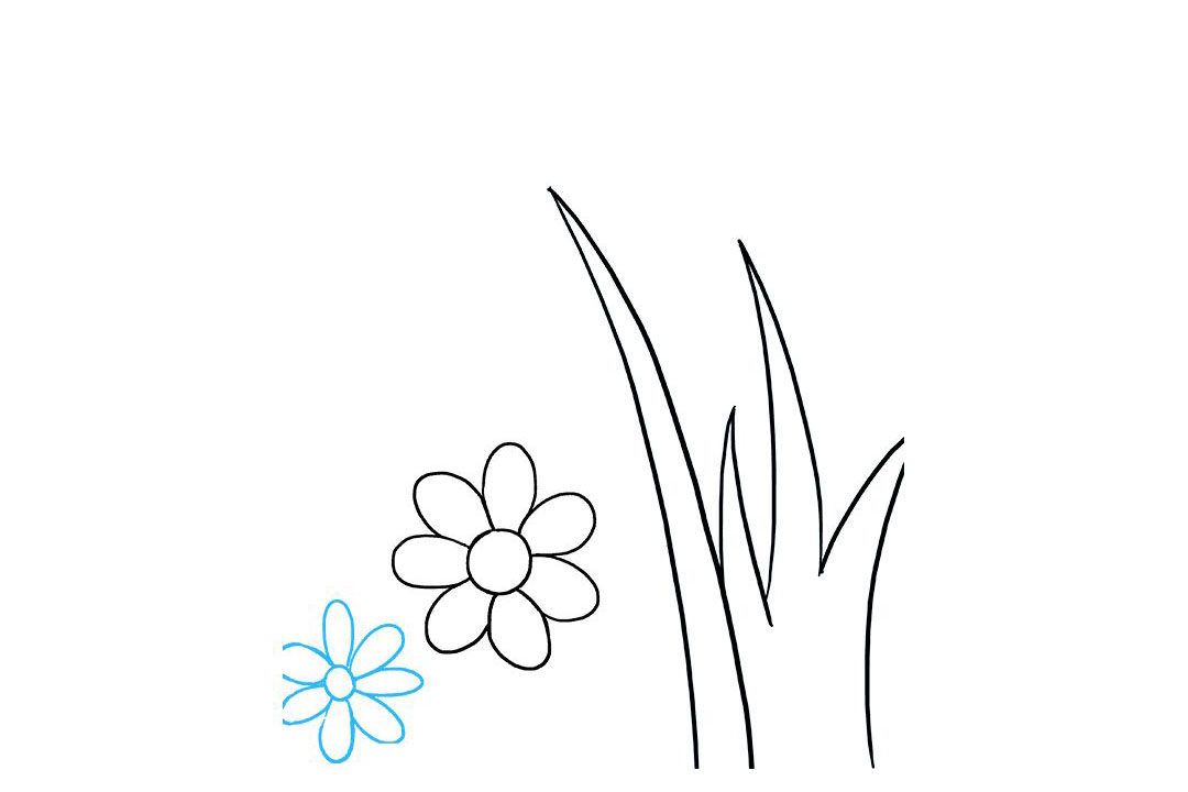 路边的野花怎么画