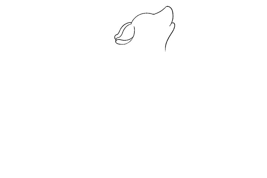可爱小狼简笔画画法