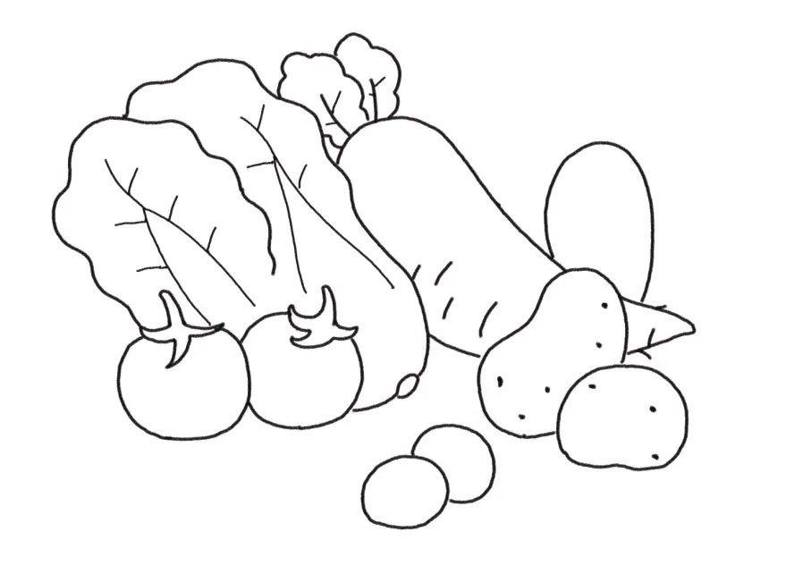 美味又健康的蔬菜简笔画