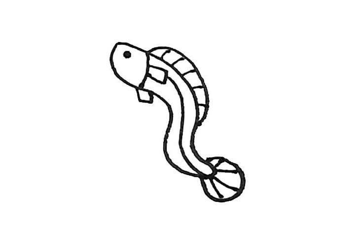 鳗鱼简笔画画法步骤
