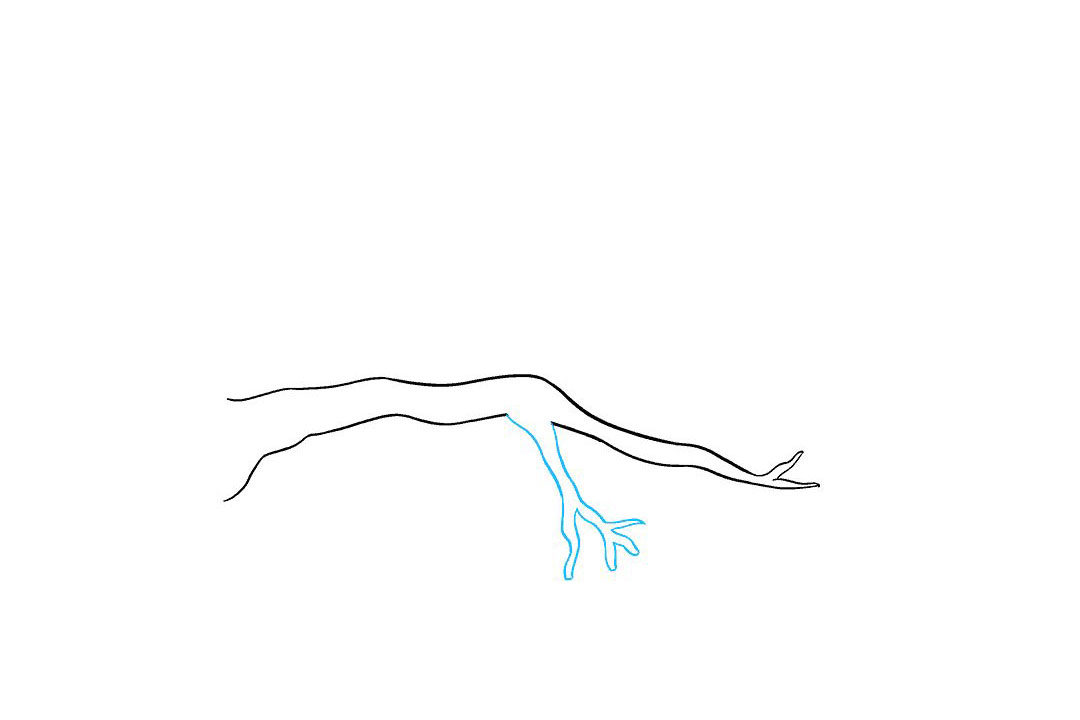 树枝怎么画