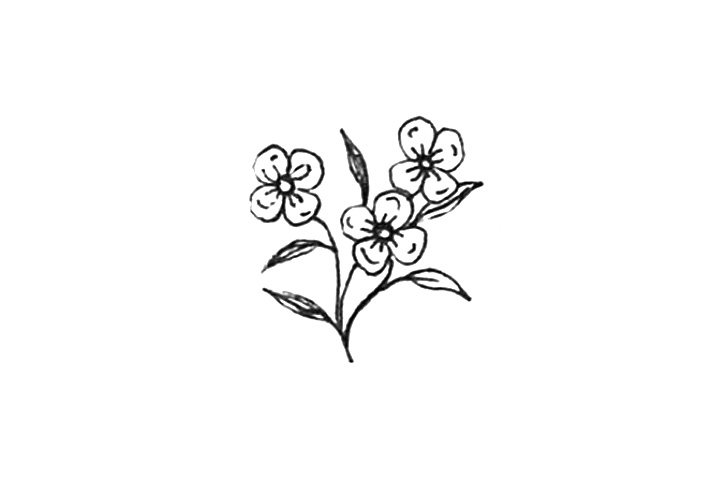 23种漂亮小花简笔画图片