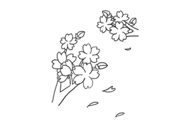 樱花的详细画法图解