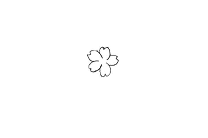 樱花的详细画法图解
