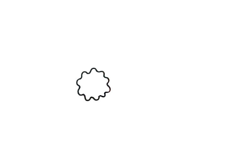苦瓜简笔画怎么画