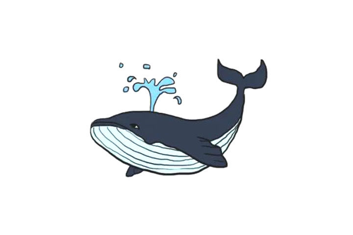 海洋生物鲸鱼简笔画画法步骤