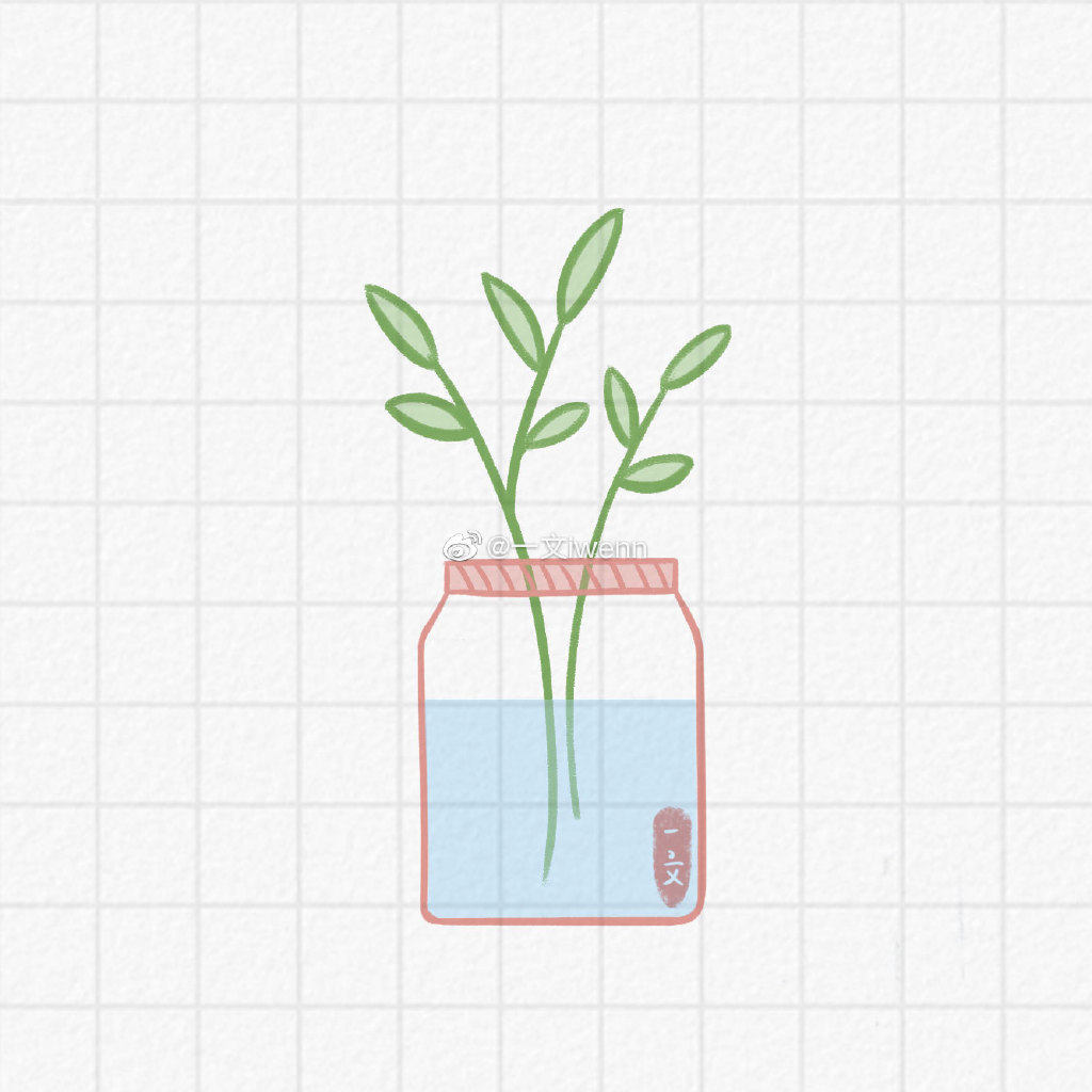 小清新的水培植物简笔画图片