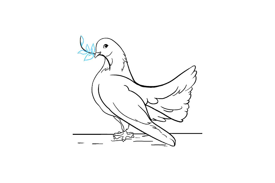 鸽子怎么画