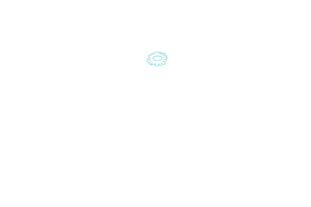 罂粟花怎么画