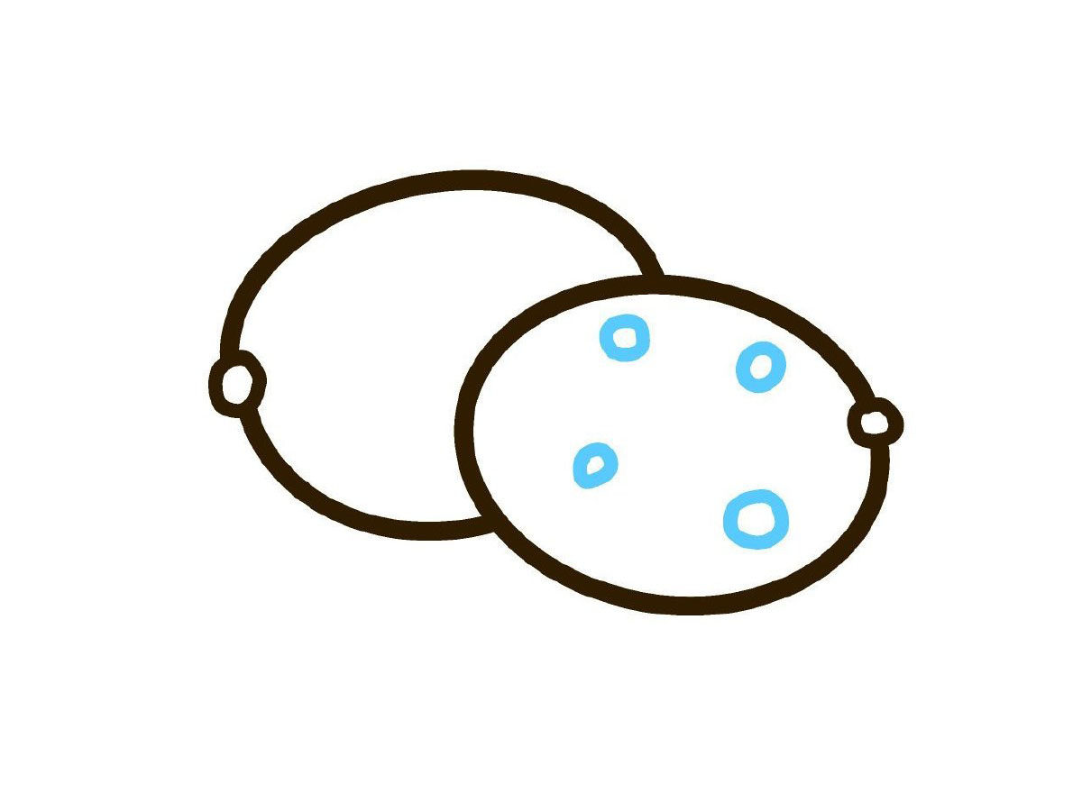 曲奇饼干简笔画画法步骤