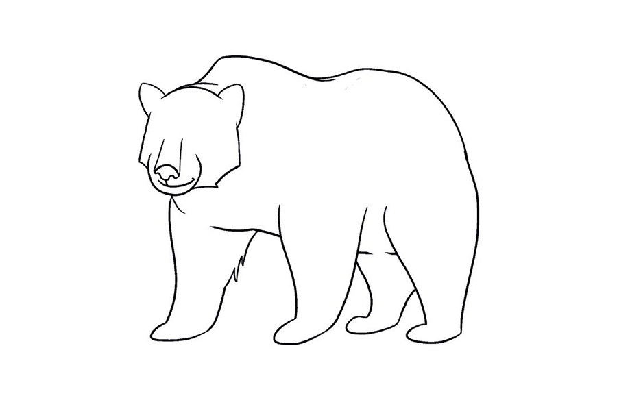如何画棕熊