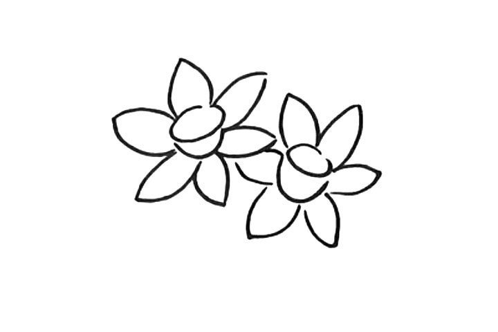 水仙花简笔画教程