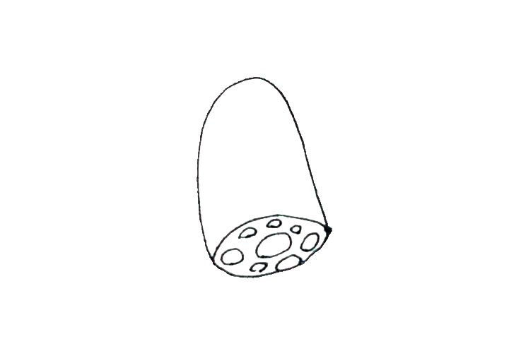 莲藕简笔画画法详解