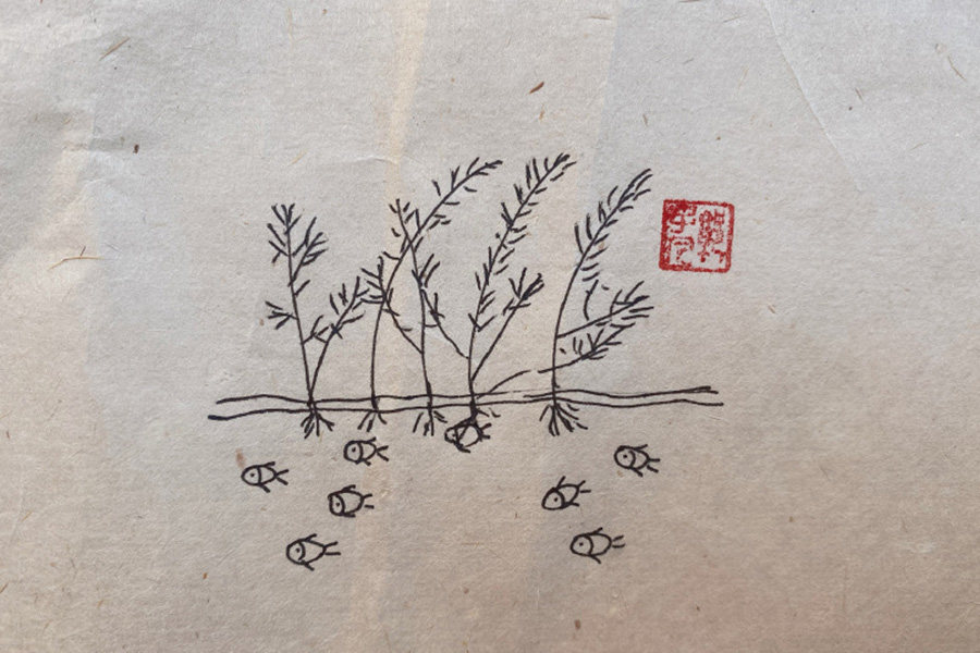池塘风景简笔画图片