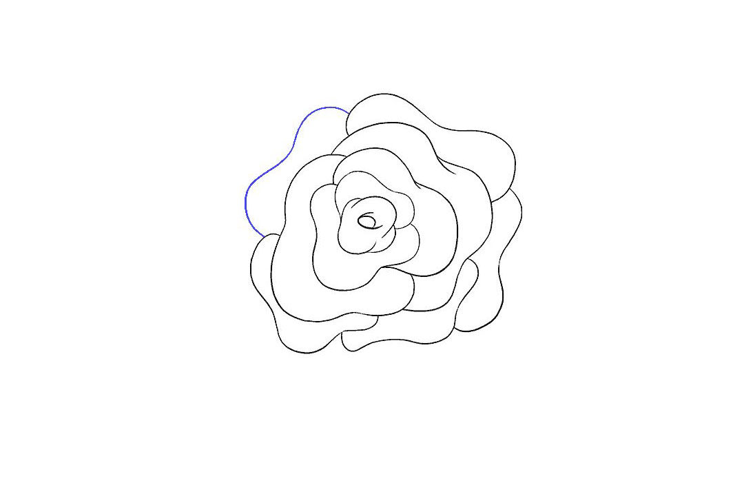 如何画玫瑰花简笔画