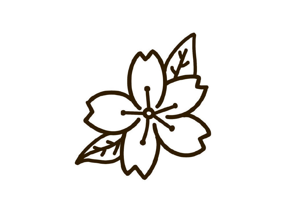 樱花简笔画教程