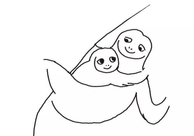 树懒简笔画 树懒宝宝和树懒妈妈