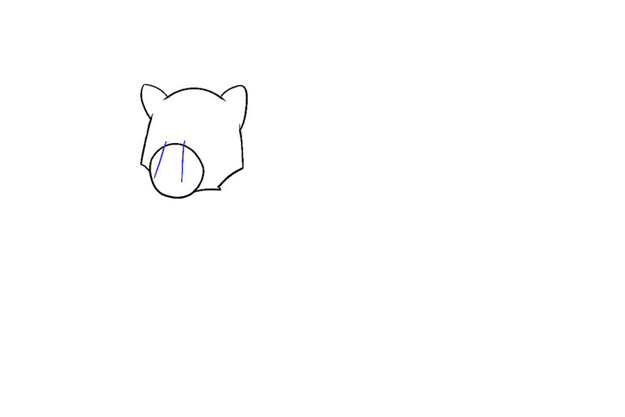 如何画棕熊
