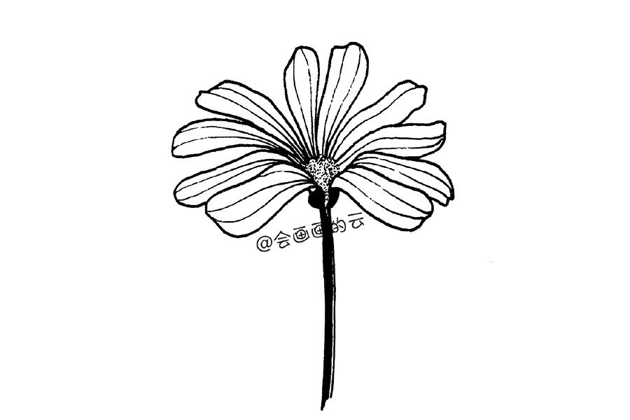 零基础简笔画 一朵漂亮的小花花