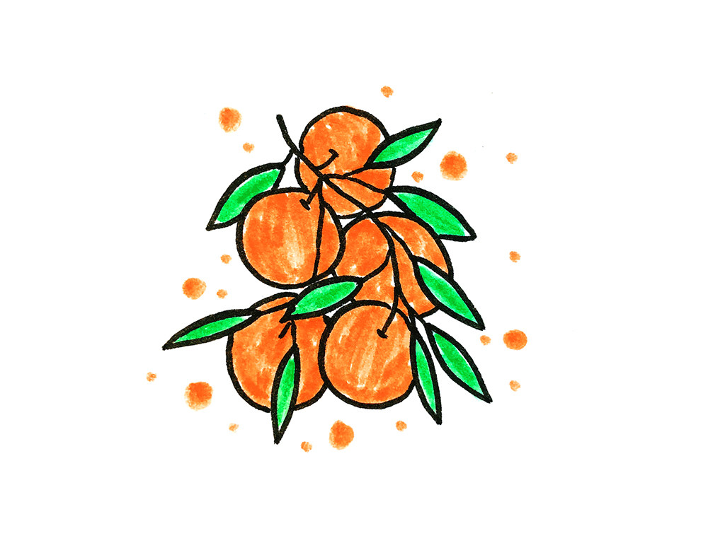 一组漂亮的水果简笔画
