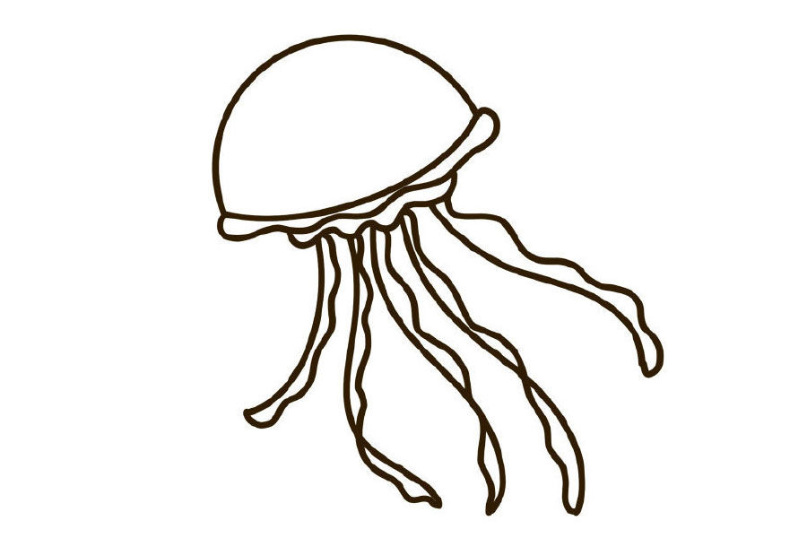 水母简笔画画法步骤