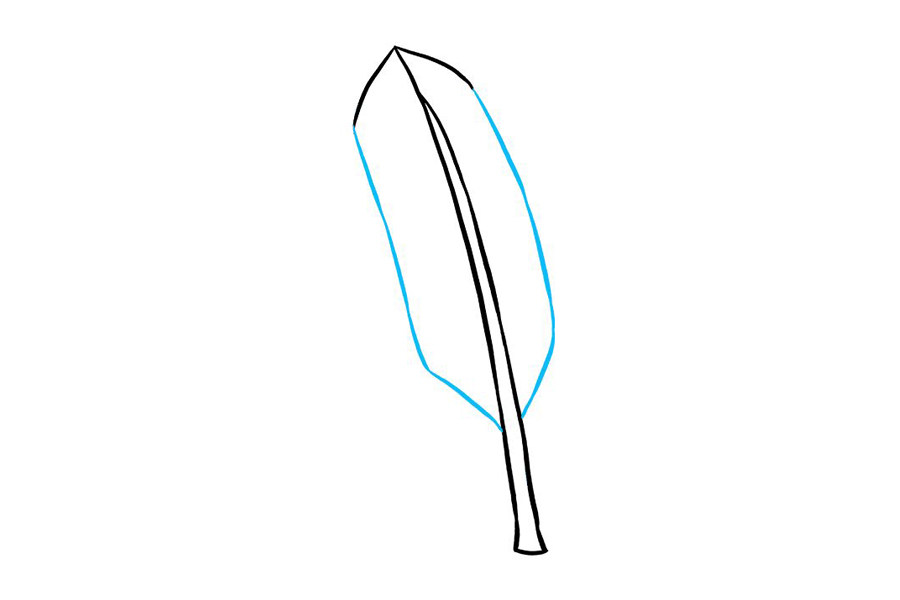 如何画羽毛