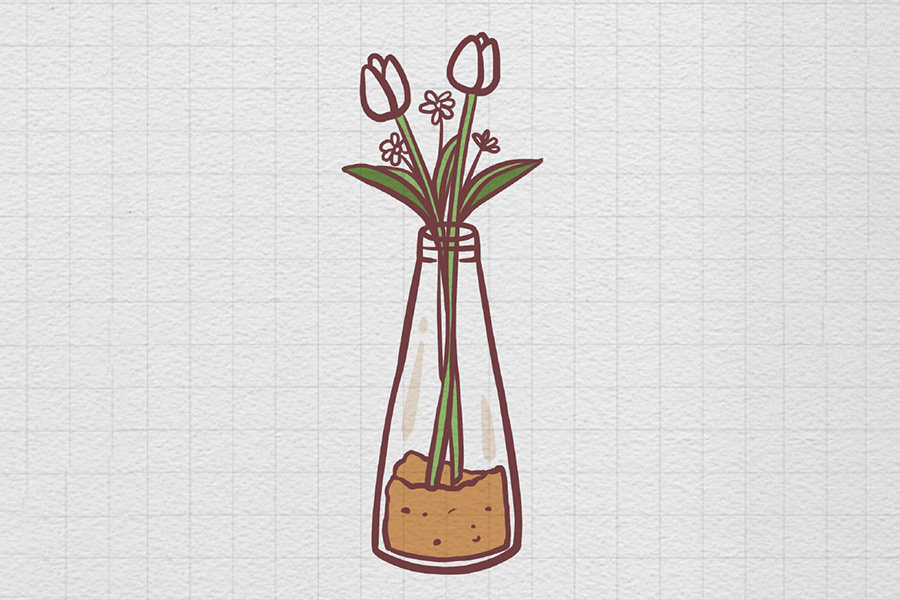 一瓶郁金香花瓶插花简笔画